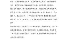 我的一九一九观后感