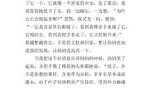 四年级作文含羞草