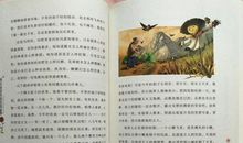 叶圣陶专集读后感