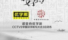 中国汉字听写大会观后感500字