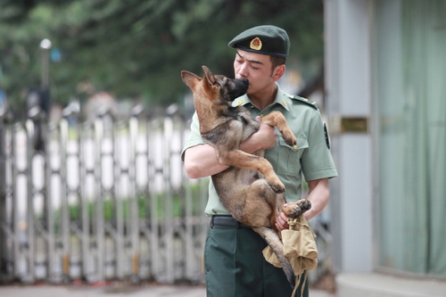 后果