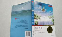 小河男孩读后感