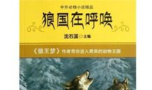 《狼国女王》读后感