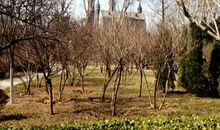 春天的校园开头