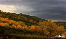 寻找朔州的秋天