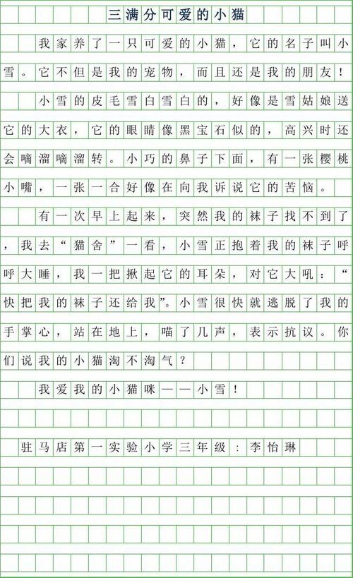 四年级作文小猫