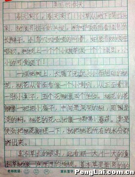 写弹簧组成