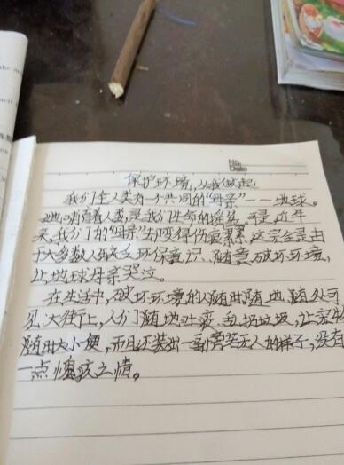 环境构成