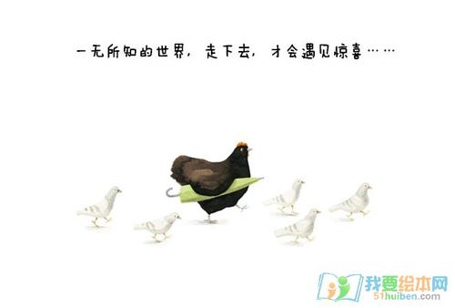 母鸡看完后