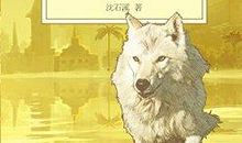 《白狼》读后感