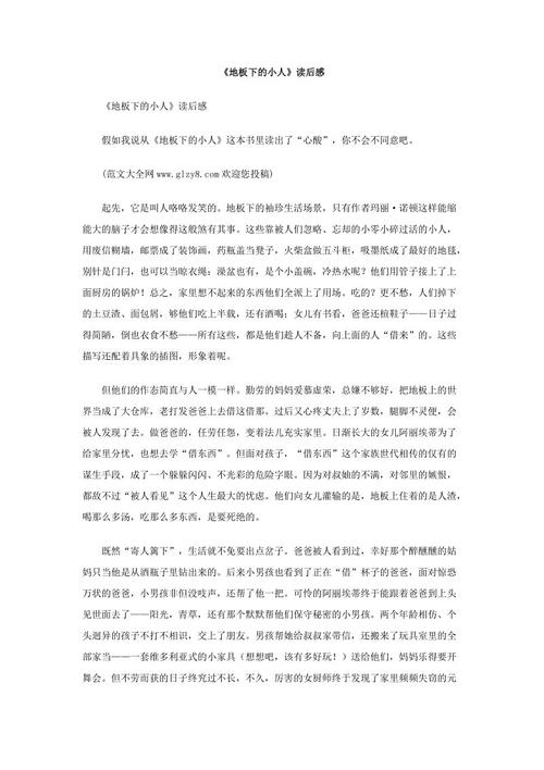 小白的选择