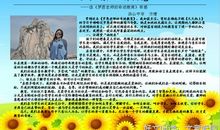 教育的奇迹读后感