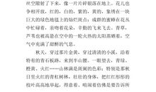 不经意的美丽作文