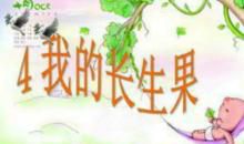 我的“长生果”读后感