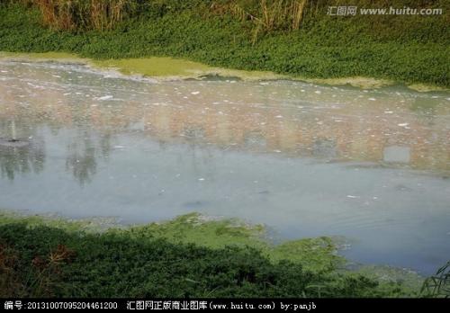 河流污染成分