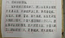 寒假里的新鲜事