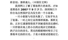 环境保护作文1000字