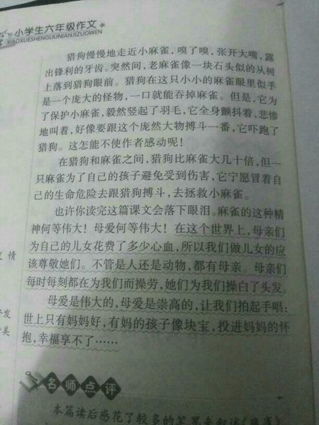 我想跟妈妈说