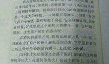 我想对妈妈说作文