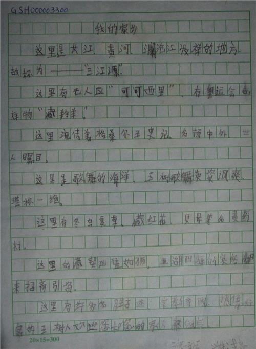未来的海洋组成300字