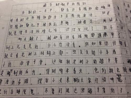 描述故乡的冬天组成