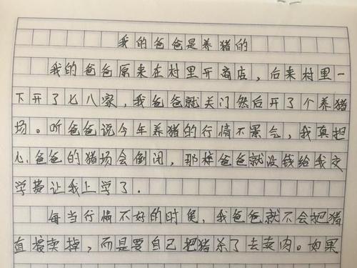 我父亲和我做饭写字