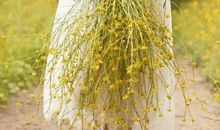 青春的末影里，有那么一个人，值得我等待