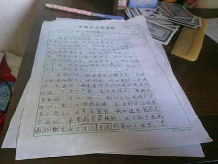元旦作文1000字