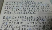 第一次骑自行车300字