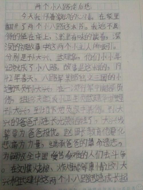 两条小八路