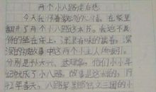 两个小八路的读后感