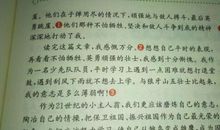 圆明园的毁灭观后感