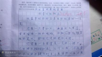 300字写狗文