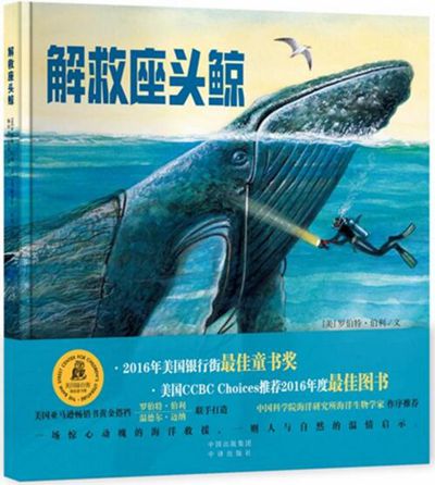 鲸鱼阅读