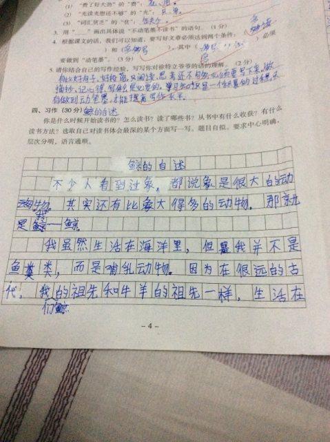 写好玩的作文