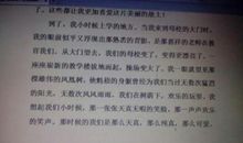 二十年后的故乡作文