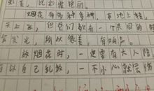 煮饭作文