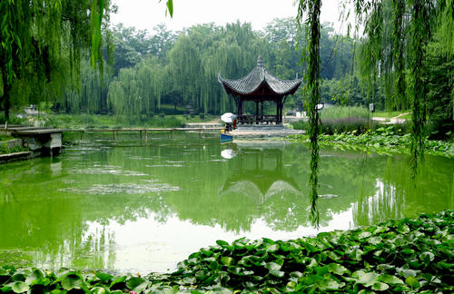 游览陶兰亭公园