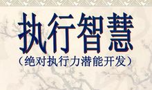 执行智慧观后感