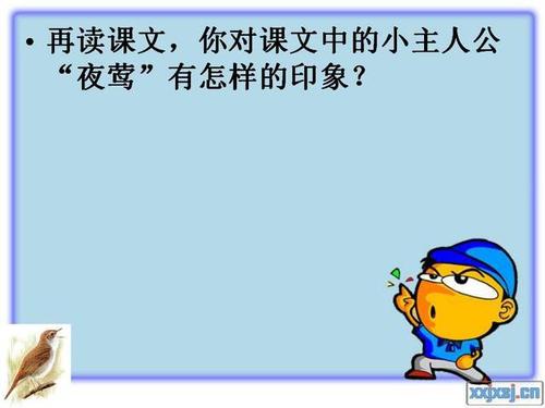 看完夜莺的歌