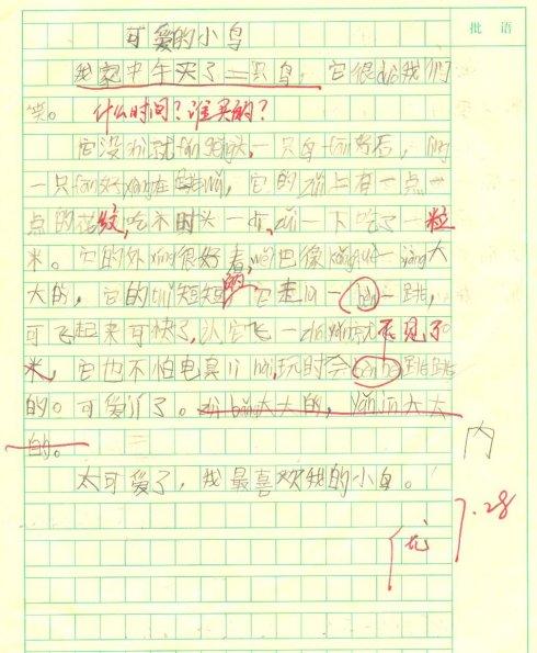 可爱的小鸟组成