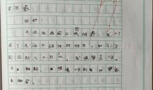 家乡的竹林作文