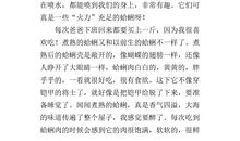 家乡的特产作文350字