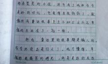 一件事作文500字