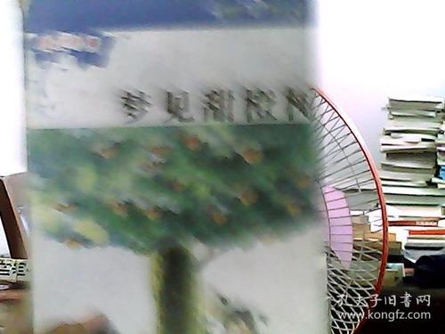梦见甜橙树