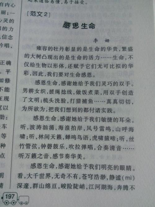 1000m跑步组合