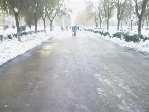 清雪组成