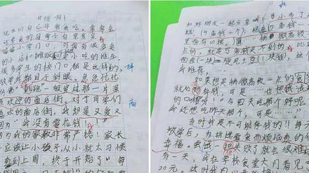 关于母亲的成分的500个单词