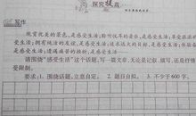 描写冬天的作文600字