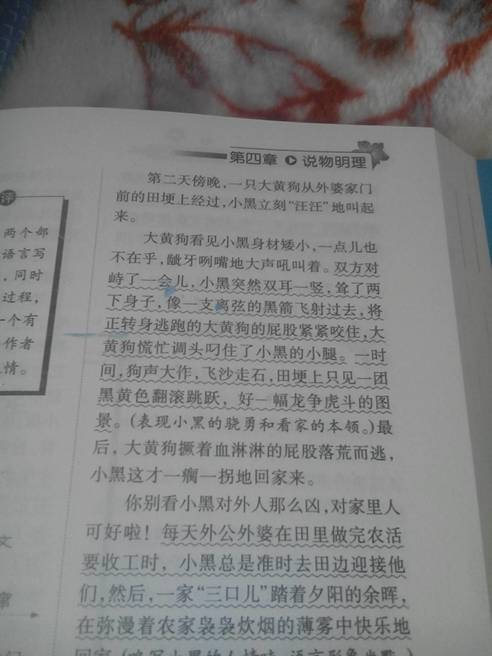 写小动物作文350字